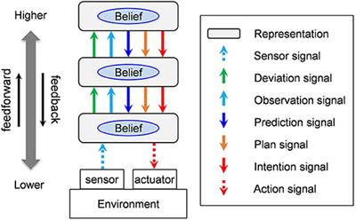 Revealing the Computational Meaning of Neocortical Interarea Signals